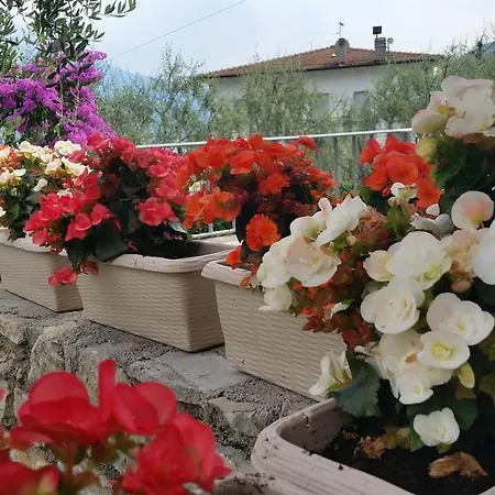 Augusta Garni Hotel