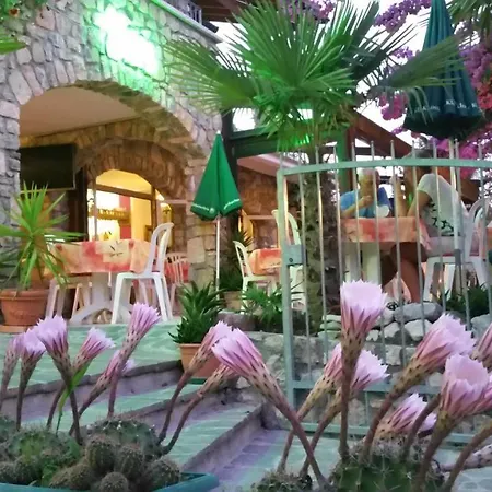 Augusta Garni 2*